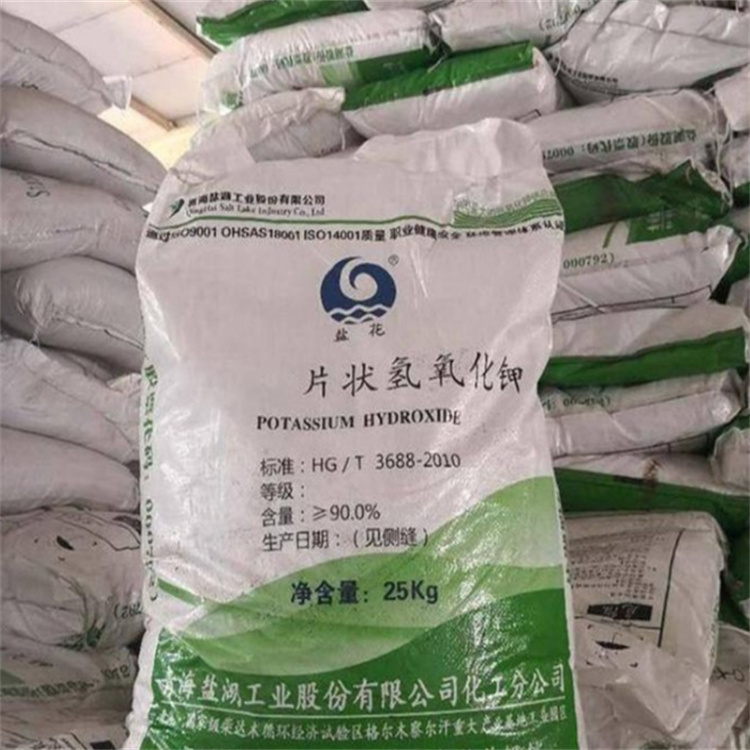 骚逼逼逼